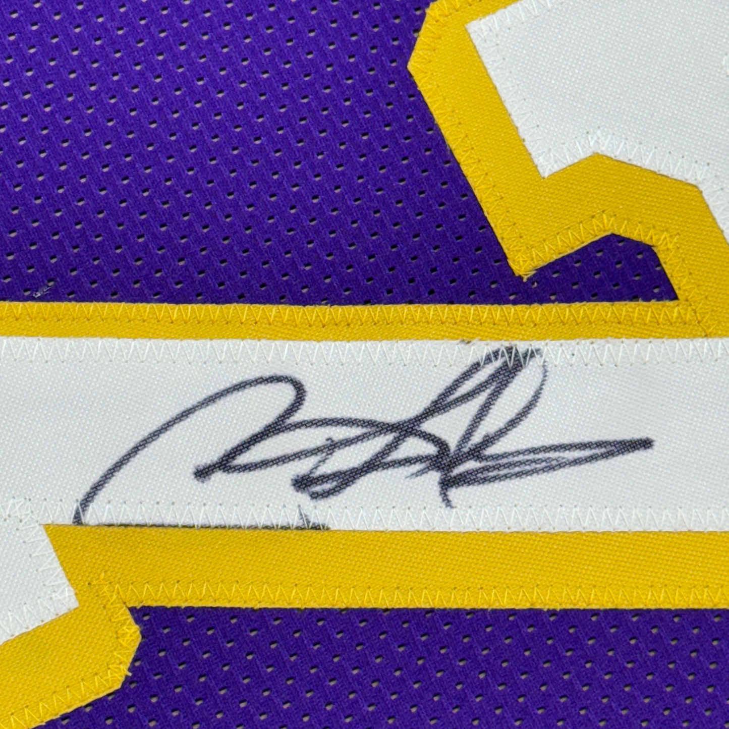 Framed Autographed/Signed Dennis Rodman 35x39 Los Angeles LA Purple Basketball Jersey PSA/DNA COA