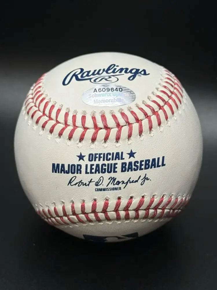 Luis Vizcaino Signed Rawlings 2005 World Series Baseball w/Champs - SCHWARTZ COA