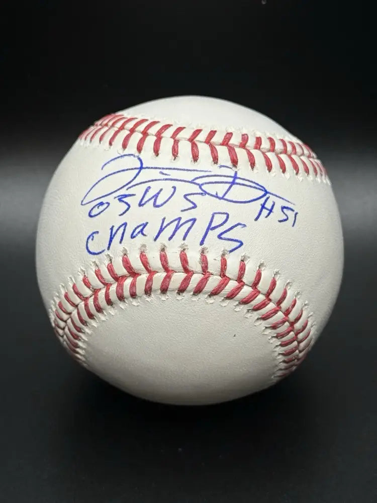 Luis Vizcaino Signed Rawlings 2005 World Series Baseball w/Champs - SCHWARTZ COA